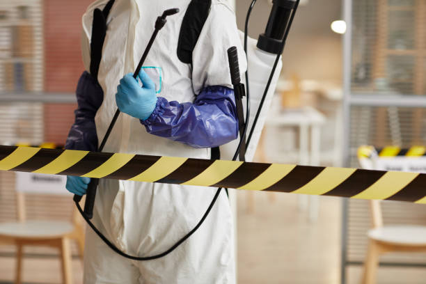 Professional Sewage Cleanup technician working in Hampton, NH
